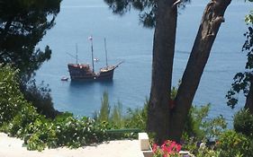 Apartments Garac